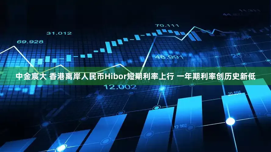中金宸大 香港离岸人民币Hibor短期利率上行 一年期利率创历史新低