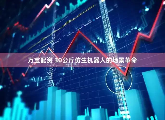 万宝配资 30公斤仿生机器人的场景革命