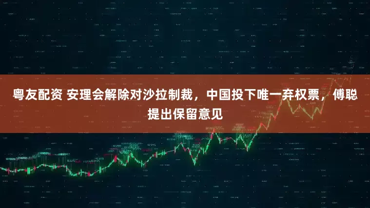 粤友配资 安理会解除对沙拉制裁，中国投下唯一弃权票，傅聪提出保留意见