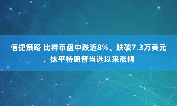 信捷策路 比特币盘中跌近8%、跌破7.3万美元，抹平特朗普当选以来涨幅